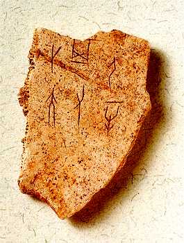 Chinese archaeology, oracle bones