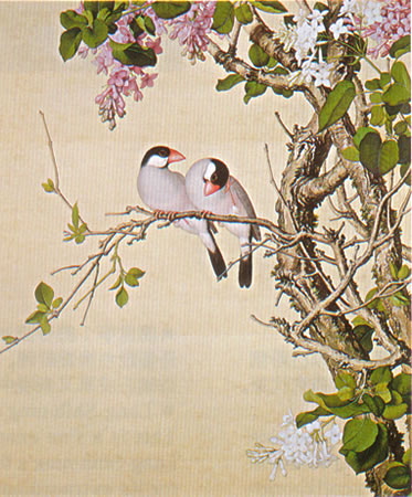 Album of Flower Paintings, Leaf 8, Lang Shining (Giuseppe Castiglione, S.J.) (1688-1766)