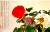 Paintings, Albums, Album of Flowers and Landscapes, Leaf 2