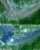 pic13.jpg (96453 bytes)