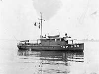Photo # NH 54509:  USS Dianthus, photographed circa 1917-1918