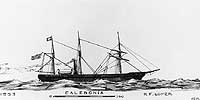 Photo # NH 66950:  Steamship Caledonia.  Artwork by Erik Heyl