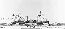 Photo # NH 67029:  Blockade Runner Thistle.  Artwork by Erik Heyl