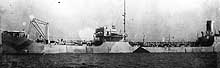 Photo #  NH 89436:  S.S. W.L. Steed in 1918