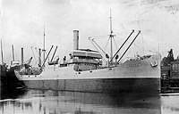 Photo # NH 94487:  S.S. War Penguin, 1917