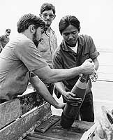 Photo # NH 98317:  Loading five-inch ammunition on USS Hull, September 1975.  Photographed by PH1 Carl R. Begy.