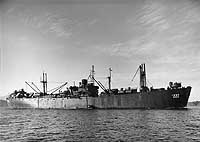 Photo # NH 98738:  USS Livingston in San Francisco Bay in late 1945 or early 1946