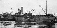 Photo #  NH 101976-A:  Freighter Manta, photographed circa 1917