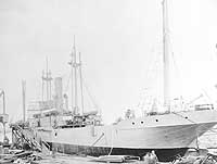 Photo #  NH 102003:  SS War Bayonet.  This ship was USS Lake Superior in 1918-19
