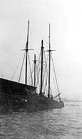 Photo #  NH 102010:  Pilot boat Louise # 2, circa 1917