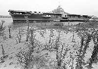 Photo # USN 1150533:  ex-USS Bunker Hill at San Diego, California, October 1971