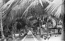 The main and only street in a village of the Congo jungle