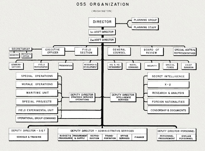 OSS Organization Chart--Washington