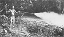 A Hospital Corpsman sprays a mosquito-infested swamp in a South Pacific
	battle zone.
