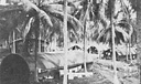 A naval base hospital in a combat area of the South Pacific.
