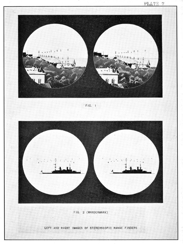 Plate 7