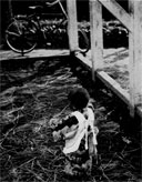 Plate 10--1. Childhood