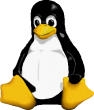Linux Penguin