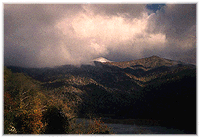 [The Smokies wearing white]
