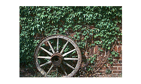 [NCWN wheel]