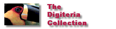 The Digiteria Collection