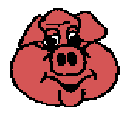 Hogs Wild