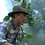 Color Photo