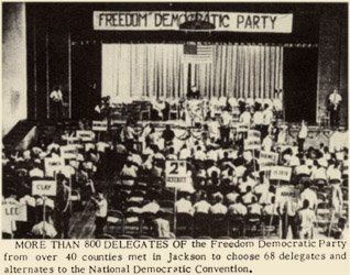More than 800 delegates of the Freedom Democratic Party from over 40 counties met in Jackson to choose 68 delegates and alternates to the National Democratic Convention