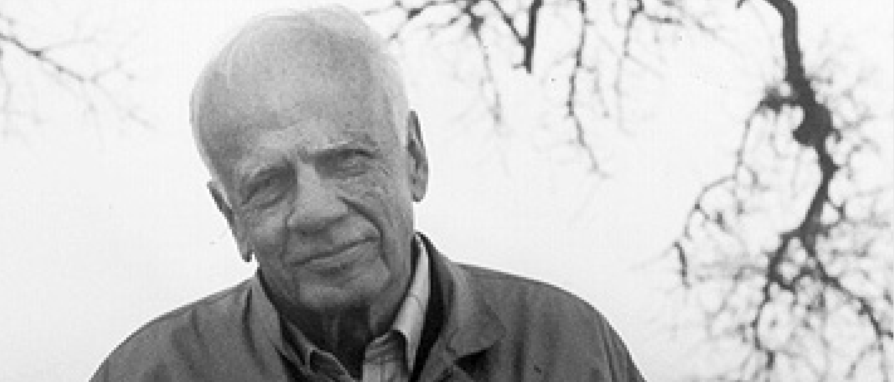 Walker Percy Project Hero Image