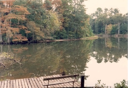Backyard Dock